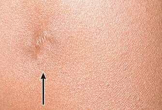 圖片關(guān)鍵詞 圖片關(guān)鍵詞